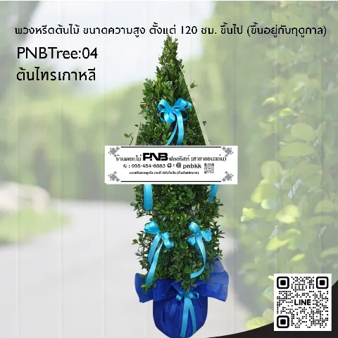 พวงหรีดต้นไม้ PNBTree04 ต้นไทรเกาหลี ประดับริบบิ้นสีฟ้า